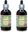 Maitake (Grifola Frondosa) Glycerit, Økologisk Tørret Mushroom Alkohol- Free Liquid Extract (Brand Name: HerbalTerra, Stolt Made in USA) 2x4 fl.oz (2x120 ml)
