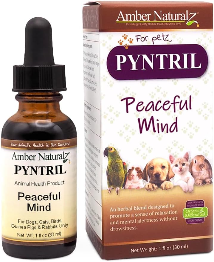 AMBER NATURALZ Pyntril Fredeligt sind Urte supplement til hunde, katte, Fugle, Guinea svin, og Kaniner Buddha 124; Herbal Pet supplement til afslapning Buddha 124; 1 Fluid Ounce glasflaske Buddha 124; Fremstillet i USA