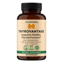 Thyroid Support Supplement - Jod, Kelp, Ashwagandha, Selenium, Zink - Understøtter energi, Metabolisme & Hormone Balance - L- Tyrosine, Schisandra, Bladderwrack (Pack of 1)