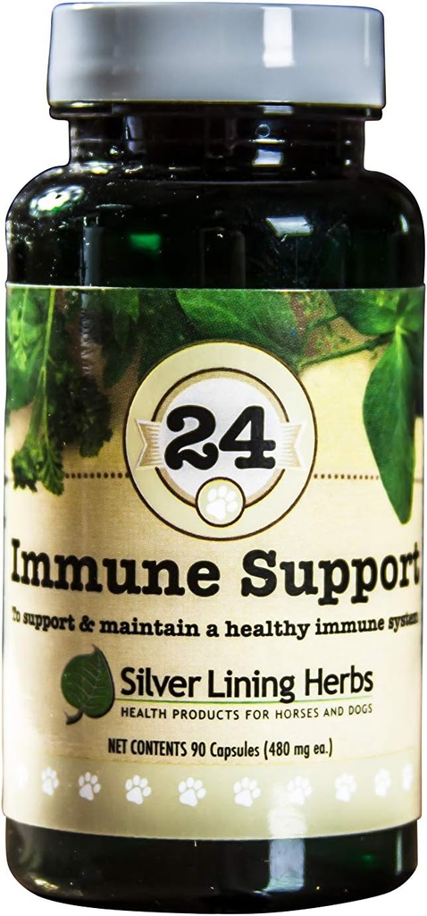 Sølv Lining urter hund immunforsvar supplement - Natural Herbal hund vitaminer - fremmer stærk immunforsvar, Vitality & Samlet Wellness - 90 kapsler