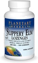 Planetariske Herbals Slippery Elm Lozenges, 100 Greve