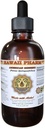 Hawaii Pharm American Ginseng Liquid Extract, Ginseng (Panax Quinquefolius) Tørret Root Tinktur Supplement 4 oz