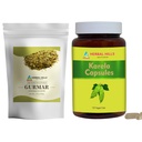 HERBAL HILLS Gurmar Tea Powder og Karela kapsler Pakning med 2 Combo