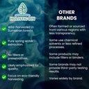 Holistic Bin Tongkat Ali Extract Powder – Premium Longjack Harvested from Sumatran Forests – Herbal – No Fillers or Preservatives – 50 Grams