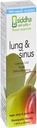 Siddha Remedies Lung & Sinus Spray til Sinus Relief, Congestion Relief, Hoste suppressant, Cold Medicine, Runny Nose Medicine 124; Homøopatisk Allergi Medicine Relief 124; Non GMO w / Cell Salts, No Alcohol, Sugar
