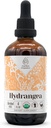 Hydrangea USDA Organic Alcohol- Free Extract MSD 124; Kosttilskud, højpotens Tinktur MSD 124; Natural Certified Organic Hydrangea (Hydrangea arborescens) Tørret rod (4 oz)