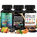 Shilajit, Sea Moss, Black Seed Oil, Mushroom & Herb Supplement med Lions Mane, Tyrkiet Tail, Reishi, Cordyceps, Chaga, Ashwagandha, Ginger, Rhodiola Rosea & Panax Ginseng, Alt i ét tillæg.