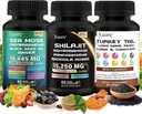 Shilajit, Sea Moss, Black Seed Oil, Mushroom & Herb Supplement med Lions Mane, Tyrkiet Tail, Reishi, Cordyceps, Chaga, Ashwagandha, Ginger, Rhodiola Rosea & Panax Ginseng, Alt i ét tillæg.