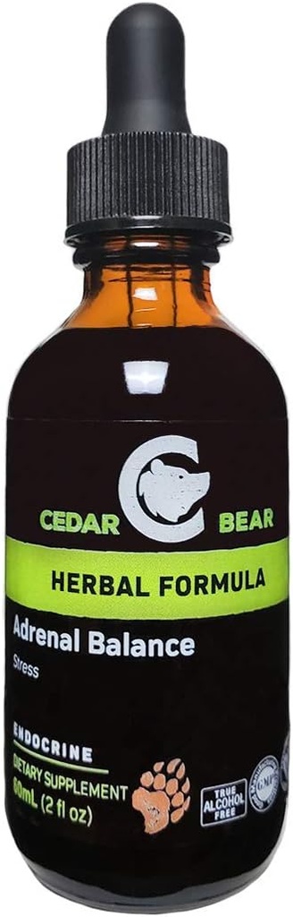 Cedar Bear Adrenal Balance - flydende urte supplement med adaptogener, der kæmper Træthed, Administrer stress og øge energi 2 fl oz / 60 ml (1 Enhed)