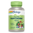 SOLARAY Hawthorn Berry Capsules 1050 mg - Lindrende urtestøtte - Hawthorne Berry supplement til total wellness support - hele Berry, Vegan, non-GMO, 60 dages garanti, 90 Servere, 180 VegCaps