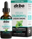 Chlorophyll Liquid Drops Body Detox - Vegansk Liquid Chlorophyll Drops Odor Cleanse Supplement, Energi & Immunstøtte, Intern Deodorant, Body Deodorizing Supplement - Natural Deodorant Water 2 oz