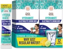 GuruNanda Hydramate Hydration Support Drink Mix - Electrolyte Powder Packets for Dehydration, Exercise & Energy - No Added Sweeteners, Non-GMO, Natural Lemon Lime Flavor - 12 Count (0.56 oz Each)