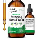 Wild & Organic Stinging Nettle Root Drops - Stinging Nettle Extract Tinktur for mænd og kvinder - Flydende Urtica Dioica Supplement - Vegan, Sukker & Alkohol- Free - 2 fl oz
