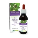 Naturalma Lemon Balm (Melissa officinalis) Leaf Alkohol- Free Tincture - 4 fl oz Liquid Extract in Drops - Herbal Supplement - Vegan