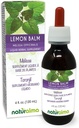 Naturalma Lemon Balm (Melissa officinalis) Leaf Alkohol- Free Tincture - 4 fl oz Liquid Extract in Drops - Herbal Supplement - Vegan