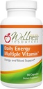 Wellness Resources Daily Energy Multiple Vitamin - 90 Kapsler - Metyleret Daily MTHFR Multivitamin uden jern - Vitamin B12, Folate, & Biotilgængelige B Vitamin - bedste supplement til energi og mad