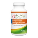 Wellness Resources Daily Energy Multiple Vitamin - 90 Kapsler - Metyleret Daily MTHFR Multivitamin uden jern - Vitamin B12, Folate, & Biotilgængelige B Vitamin - bedste supplement til energi og mad