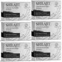 30. 000 MG Shilajit Tablets, 100% Shilajit Pure, Himalayan Organic, Shilajit for mænd og kvinder Rich in Fulvic Acid & 85 + Trace Minerals, Shilajit supplement til energi & immunsystem, 360 Tæl