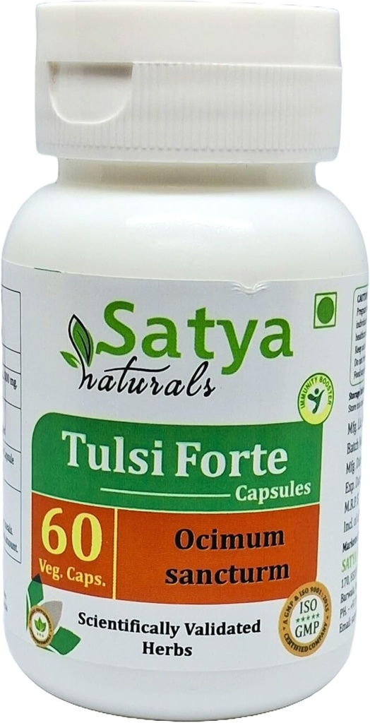 Tulsi Forte Capsules 500 mg. 60 Veg. Capsule | Basil (Ocimum Sanctum) Extract Capsules for Men and Women | Ayurvedic Herbal Supplement/Remedies | 10:1 Forte (1 Bottle of 60 Capsules)
