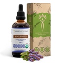 Secrets of the Tribe Bugleweed Tincture Alcohol- Free Liquid Extract, USDA Organic Bugleweed (Lycopus Protecicus) Tørret urt (4 FL OZ)
