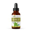 Guayusa Leaf Extract Brain Focus - Naturlig Koffein Stamina drikke energi supplement, kaffe alternativ, Stress Relief - Økologisk Kosher 1oz flaske - Urtevand