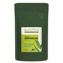 Banyan Botanicals Bhumyamalaki Powder - Organic Lever Health Supplement * - Phyllanthus spp. - til naturlig afgiftning og rensning af leveren * - 1 / 2 Pound - Ikke GMO bæredygtigt syret Vegan
