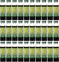 Prince of Peace Red Panax Ginseng Extractum Ultra Strength 30 Vial(s)