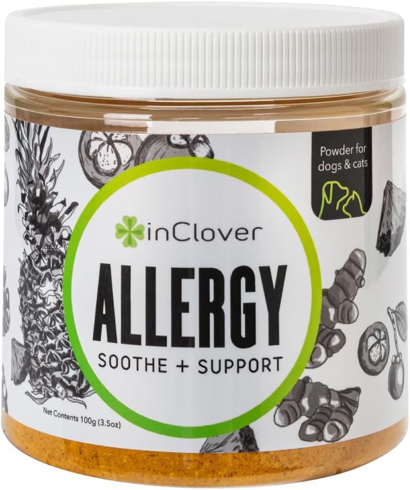 I Clover Natural Hund Allergy Relief supplement med gurkemeje - Bioresistent Treat Powder supplement til hunde med sæsonbetinget allergi, Mangosteen hjælper vedligehold Histaminniveauer