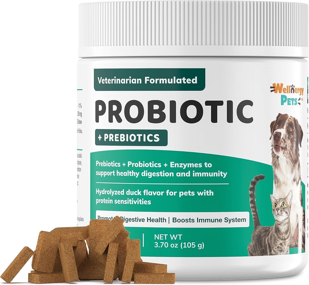 Wellnergy Daily Probiotic & Prebiotics Soft Chew for Dogs & Cats - Diarré, Forstoppelse, Opsat Mave, Forstoppelse & Gas - Hjælper fordøjelse, Allergi Hud og immunforsvar 70ct