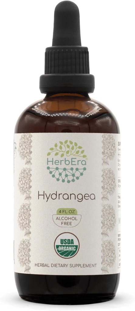 HerbEra Hydrangea B120 USDA Organic Tincture against 124; Alkoholfri ekstrakt, High- Potency Herbal Drops against 124; Certified Organic Hydrangea (Hydrangea arborescens) Tørret rod (4 oz)