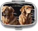 Pill Box 2 Segment Square Pill Organizer Daily Small Pill Case for Travel Golden Retrievers Metal Pill Container Portable Medicine Organizer for Pill Vitaminer Fish Oil Supplement