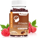 Sugar Free Mushroom Gummies, Mushroom Gummies med løvens Mane - Fokus energi immunsupport- Raspberry Flavor 60ct