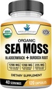 American Standard Kosttilskud Organic Sea Moss, Bladderwrack & Burdock Root Kapsler - 1200mg Seamoss, 1200mg Bladderwrack, 225mg Burdock Root Per Servering - 120 Kapsler, 40 Servering