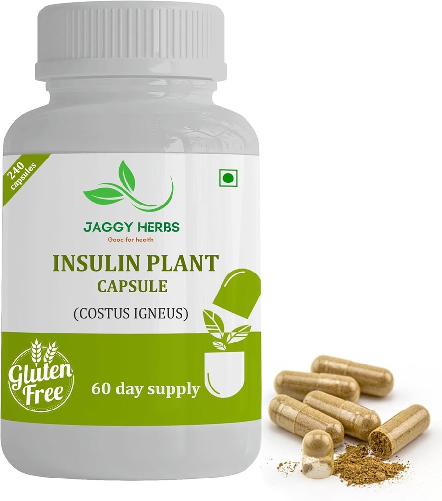 Generisk JAGGY Premium Insulin Plant Capsules (Costus Igneus) Natural Supplement 240 Veggie Capsules (60 dages forsyning) Insulin Plant