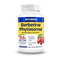 Enzymedica, Berberine Phytosome, 9.6X Bedre biotilgængelighed, høj potens Natural Vegan Kosttilskud til metabolisk support, 60 kapsler