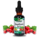 Naturens svar Hawthorn Berries Mest124; fremmer sund cirkulation Funktion Mest124; Hjælper med at bevare sund Kolesterol Levels Mest124; Gluten- Free, Alkohol- Free, Kosher Certified & No Preservatives 1oz
