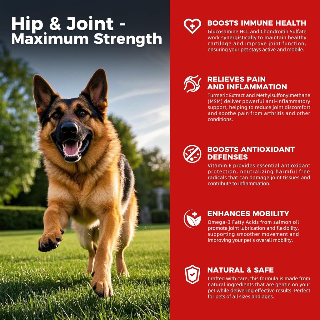 Hund Hip og fælles tillæg - Hund Pain Relief Anti Inflammatorisk med Glucosamin, Chondroitin, MSM, gurkemeje, E-vitamin, Omega 3 - Treates Hip Dysplasi, Gigt - Alle store små medium Breed