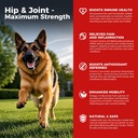 Hund Hip og fælles tillæg - Hund Pain Relief Anti Inflammatorisk med Glucosamin, Chondroitin, MSM, gurkemeje, E-vitamin, Omega 3 - Treates Hip Dysplasi, Gigt - Alle store små medium Breed