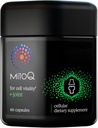 MitoQ + Joint Advanced CoQ10 Antioxidant Supplement - Indeholder Mitoquinol Mesylat & Green Lipped Mussel Omega Oil Extract - Understøtter sund fælles, mobilitet og celle vitalitet (60 Softgel kapsler)
