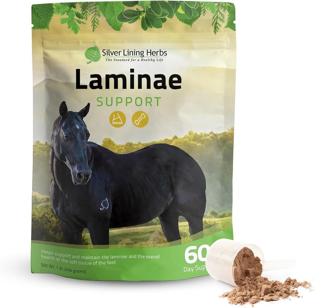 Sølv Lining Urter Laminae Support Horse Kosttilskud Laminitis & Grundlægger Support for Horse - Support Mobility, Sore Feet, Soft Foot Tissue & Bedre Coat - Herbal Hoof Kosttilskud til Heste - 1 LB