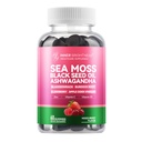 Sea Moss Azermg Gummies med Ashwagandha, Elderberry, Æblecider, Bladderwrack, Burdock Root - immunstøtte - blandet berry flavor - 60 Greve