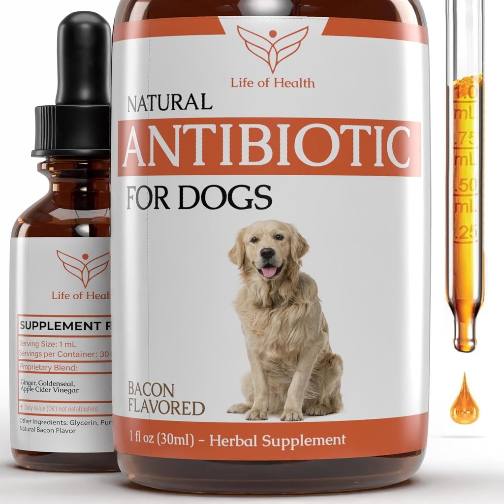 Naturlig Antibiotika til hunde
