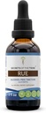 Secrets of the Tribe Rue Alcohol- Free Liquid Extract, Rue (Ruta graveolens) Tørret Herb Tincture Supplement (2 FL OZ)