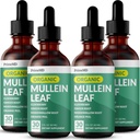 5-in-1 Mullein Drops til Lungs og Bronchial - Luftveje Lung Health Support med Mullen Leaf Extract til Lungs - Mullein Tincture med Elderberry, Echinacea og Ginger Root (120 Servere) (4-pakke)