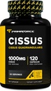 Primaforce Cissus Quadrangularis Extract, 120 Capsules, 1000mg per Serving - Gluten Free, Non-GMO