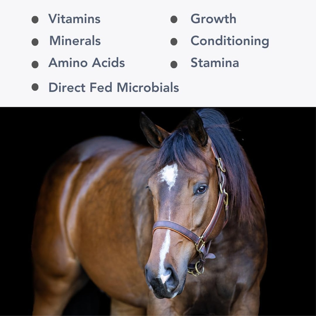 Mega- Mag (25lb) Balanceret Multi Vitamin / Mineral supplement til Alfalfa Hay Diets