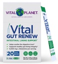 Vital Planet - Vital Gut Renew Powder Supplement til Leaky Gut Reparation med L- Glutamin, Marshmallow og Ginger Root, DGL lakrids Root og Organic Aloe Vera, L Glutamin 6000mg, 20 Single Serve Packs