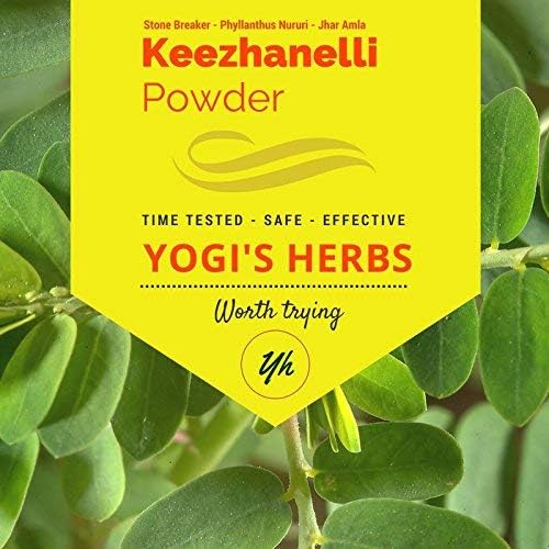 YOGIS HERBS Keezhanelli pulver (Phyllanthus Niruri) Name 124; Chanca Piedra Stone Breaker - Lever, Nyre & Galleblære Support- Fresh & Pure Herbal Supplement (8 oz)