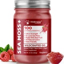WELLENess LABSRX Irish Sea Moss Gel Raw - Fremstillede Superfood Seamoss Gel - Raspberry Flavor, Vitamin og Mineral- Rich fra Pristine Caribbean Waters, Immunitet og fordøjelsessygdomme support - 10 oz.