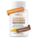 Økologisk gurkemeje & ingefær Kapsler - Gurkemeje med Ginger & BioPerine, 95% Curcuminoider - Fælles, fordøjelse, Immunitetsunderstøttelse, Sort peber ekstrakt for øget absorption